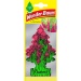 Rhubarb WunderBaum